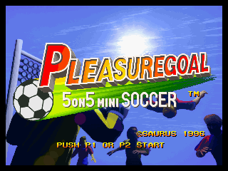 Pleasure Goal / Futsal